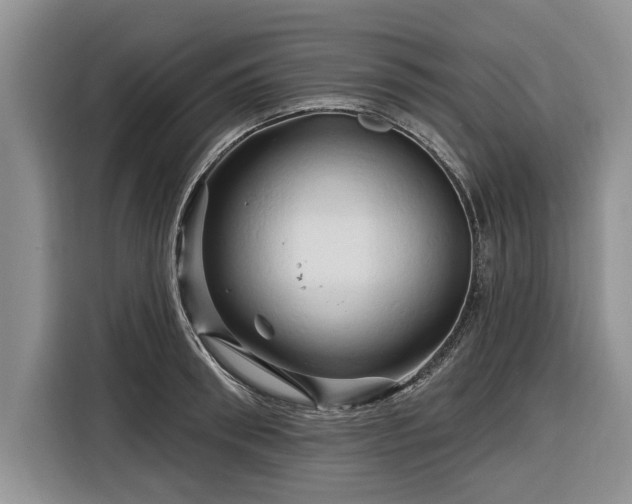 X0000116280898200912071148