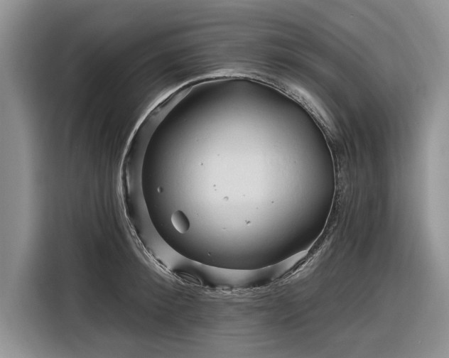 X0000116280900200912071148