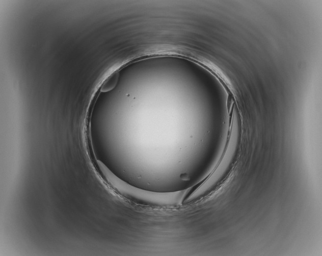 X0000116280901200912071148