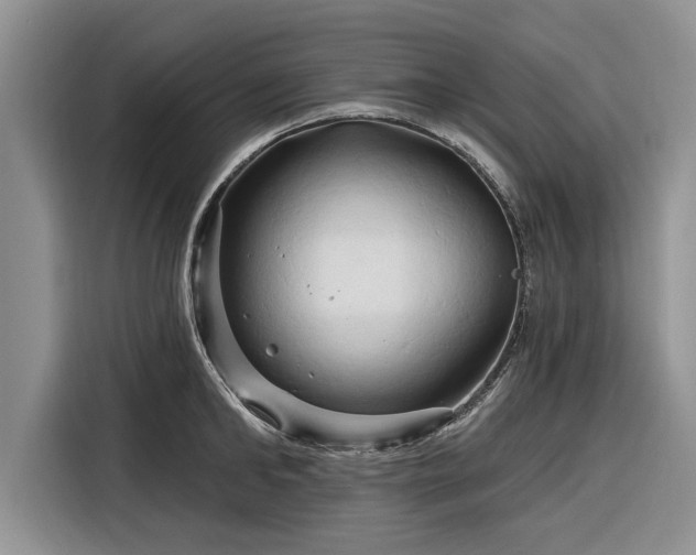 X0000116280902200912071148