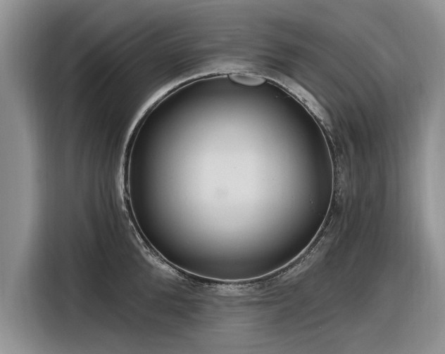 X0000116280904200912071148