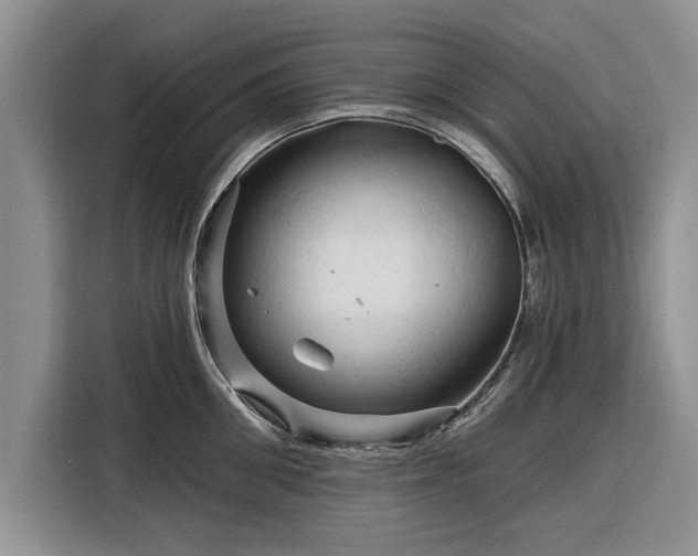 X0000116280906200912071148