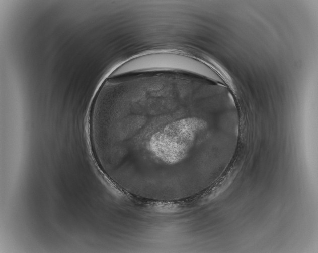 X0000116280907200912071148