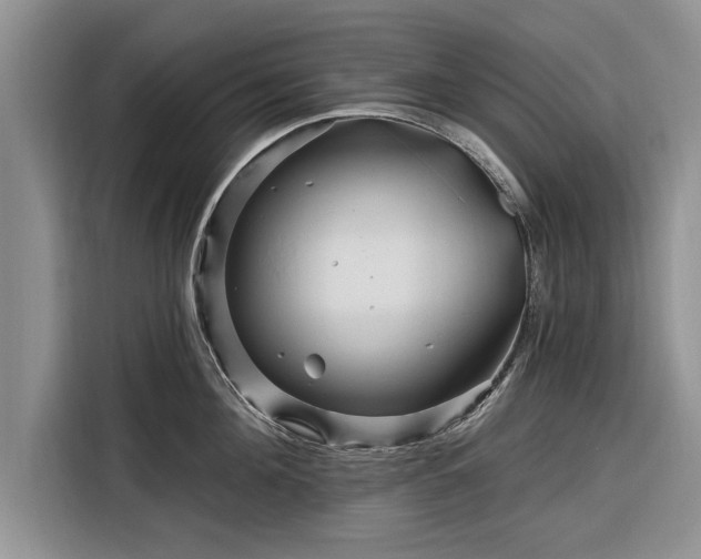X0000116280908200912071148