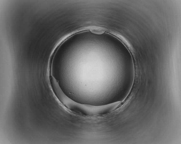 X0000116280910200912071148