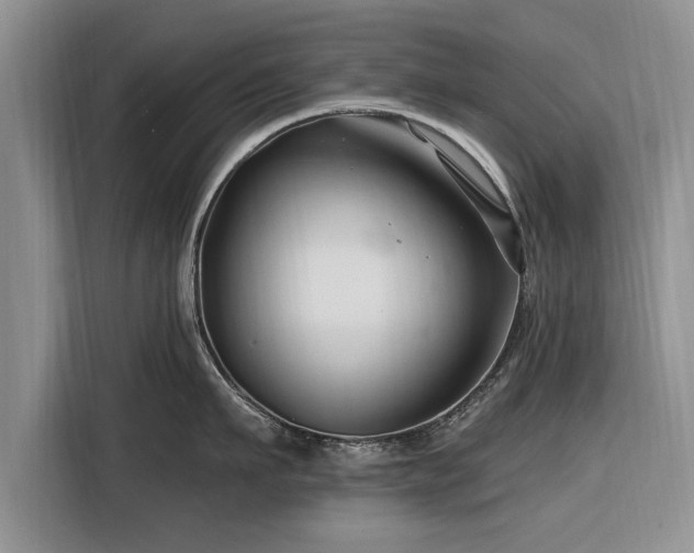 X0000116280911200912071147