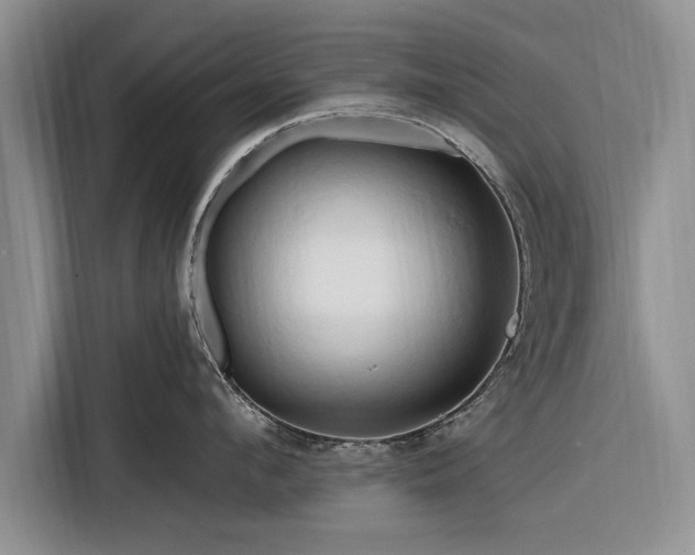 X0000116280912200912071147