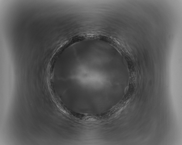 X0000116280913200912071147