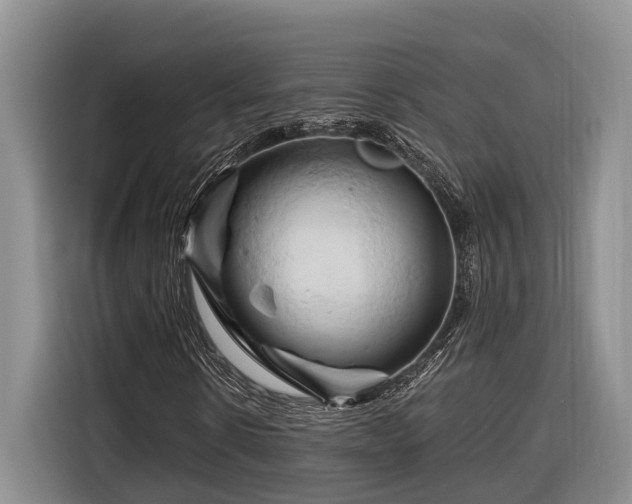 X0000116280914200912071147