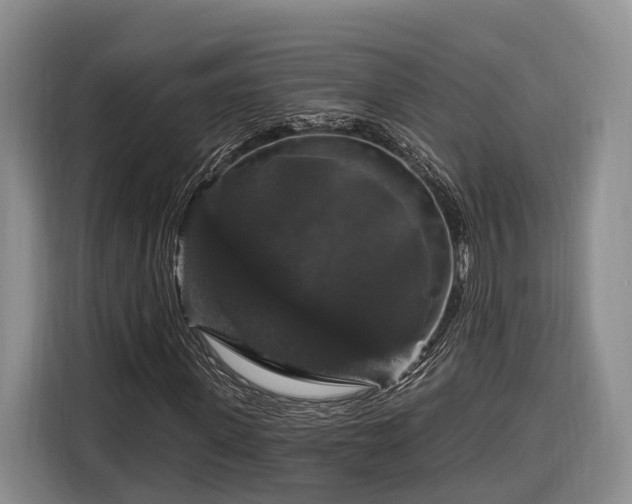 X0000116280915200912071147