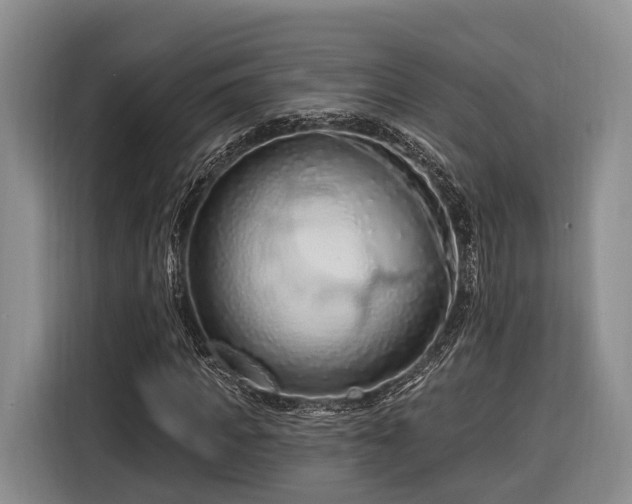 X0000116280917200912071147