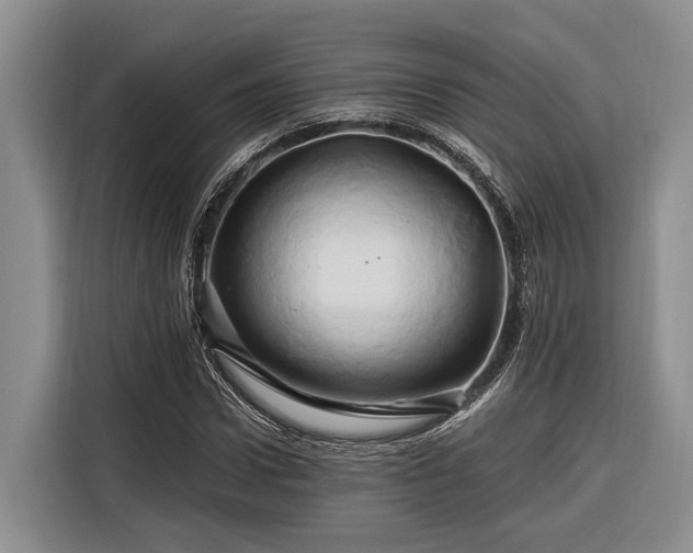 X0000116280922200912071147