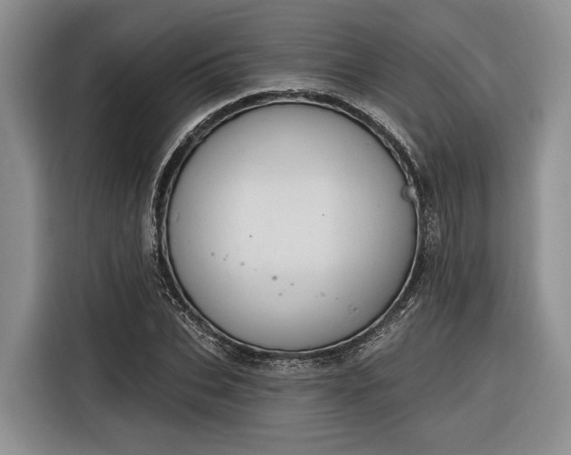 X0000116280927200912071147