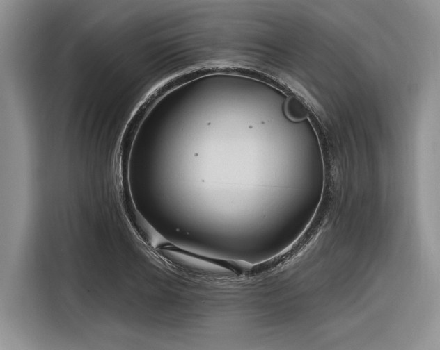 X0000116280934200912071147