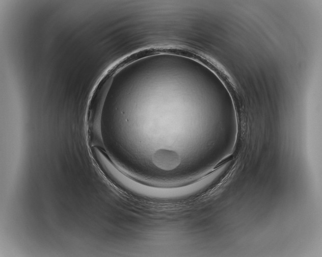 X0000116280935200912071147