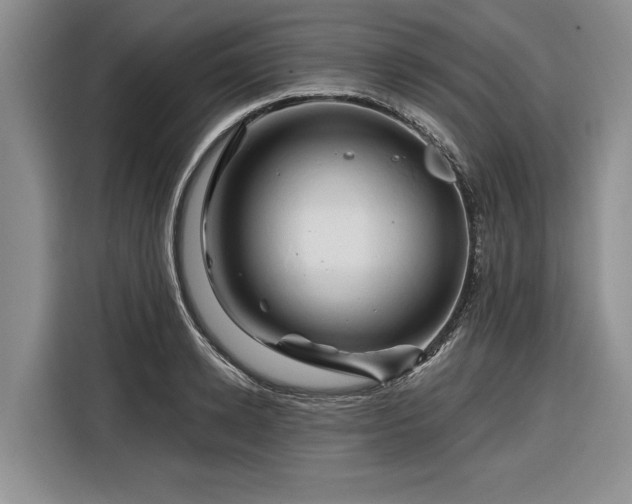 X0000116280942200912071147