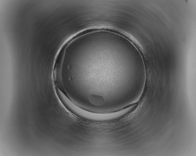 X0000116280943200912071147
