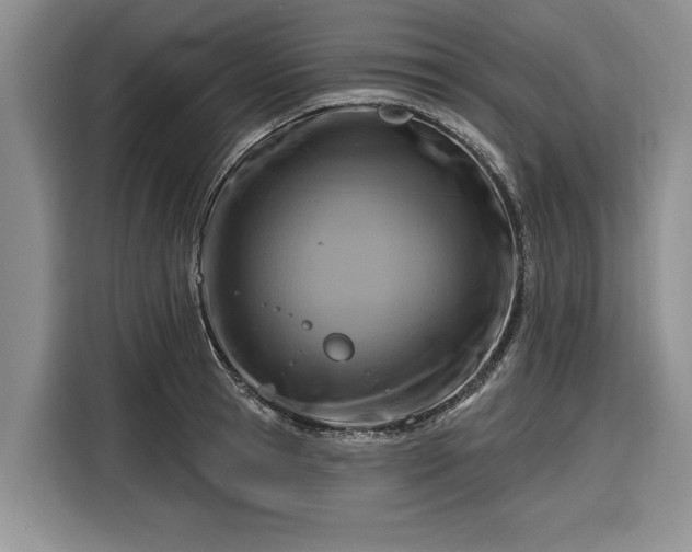 X0000116280945200912071147