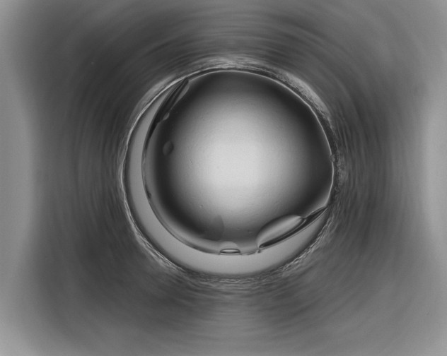 X0000116280946200912071147