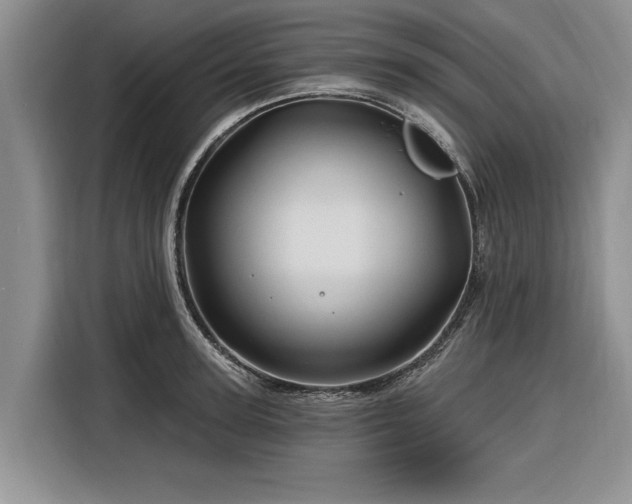 X0000116280947200912071147