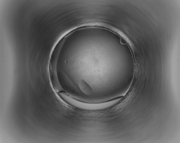 X0000116280951200912071147