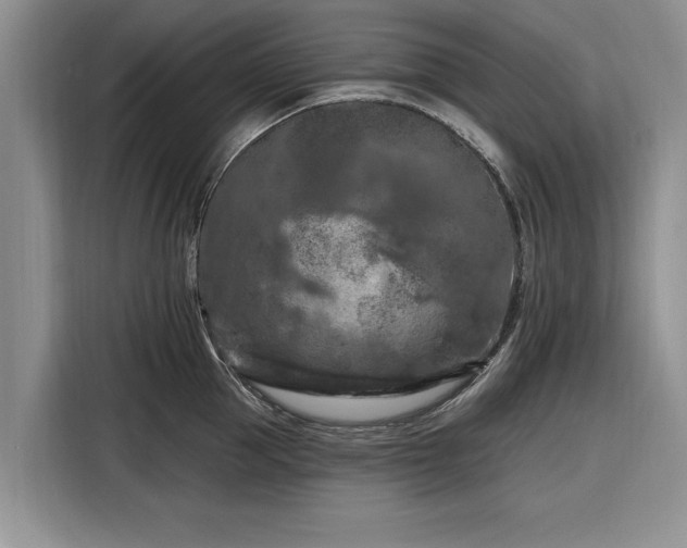 X0000116280953200912071147