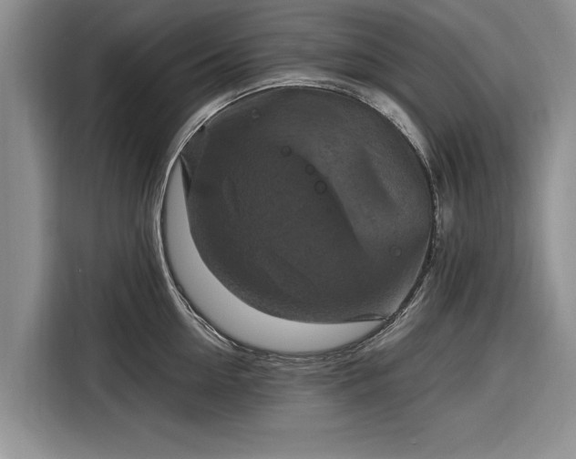 X0000116280954200912071147