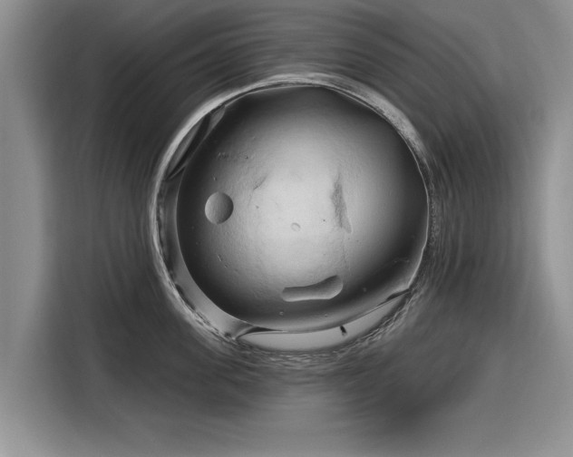 X0000116280955200912071147