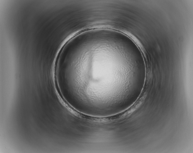 X0000116280957200912071147