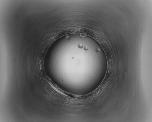 X0000116280962200912071147