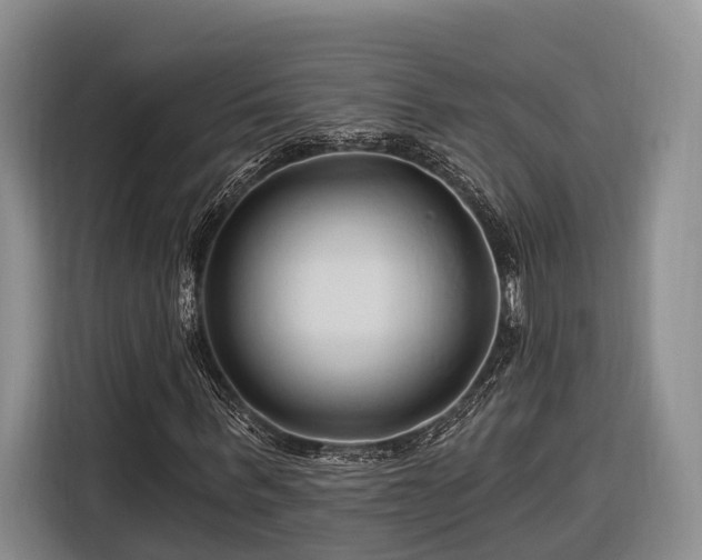 X0000116280963200912071147