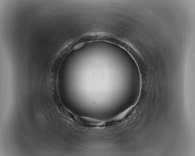 X0000116280967200912071147