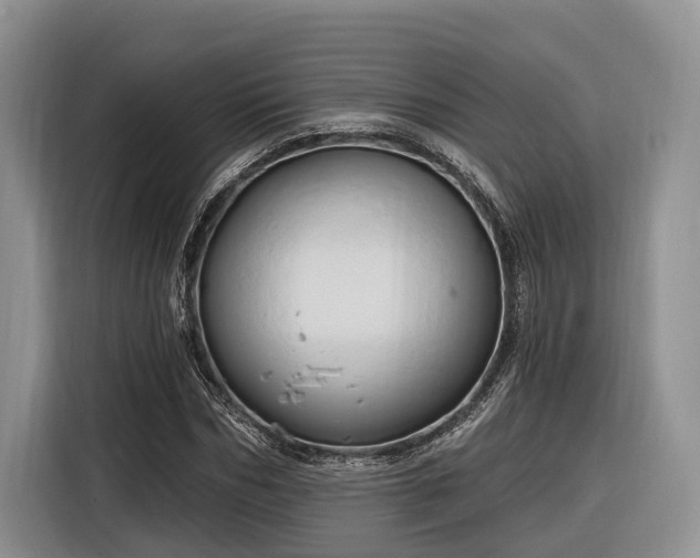 X0000116280970200912071147