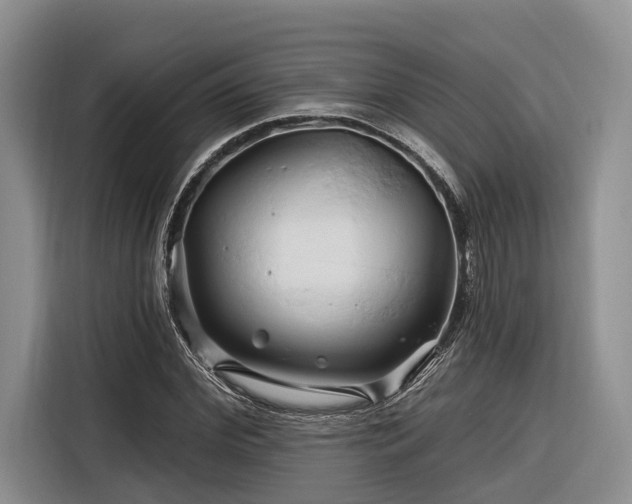 X0000116280972200912071147