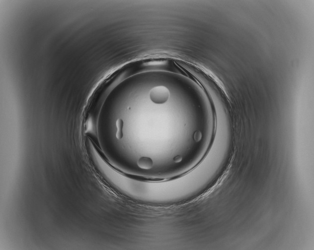 X0000116280973200912071147