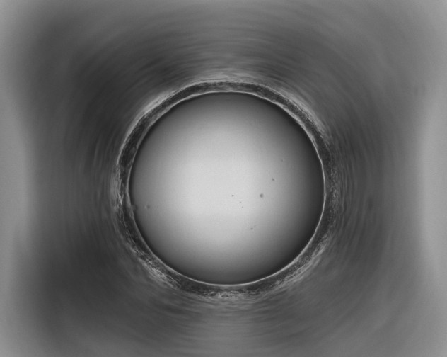 X0000116280974200912071147