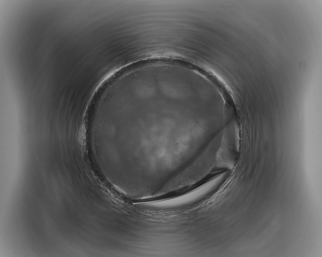 X0000116280975200912071147