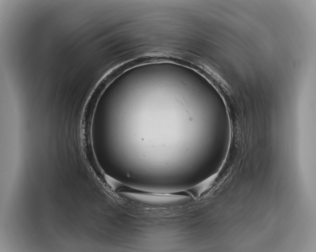 X0000116280976200912071147