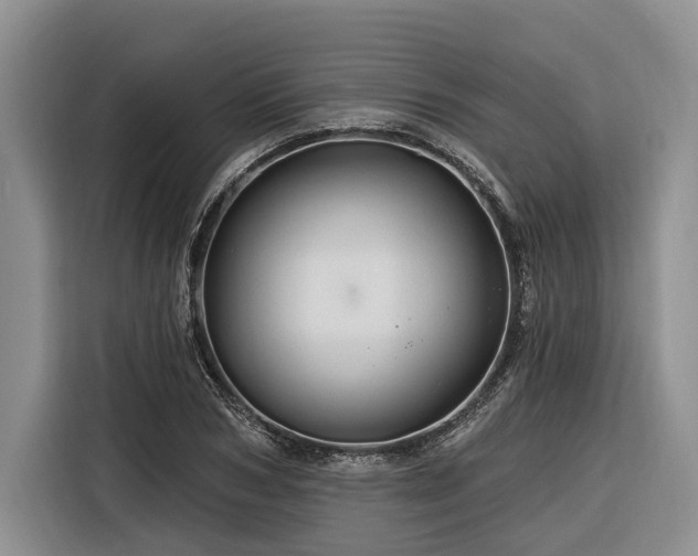 X0000116280978200912071147