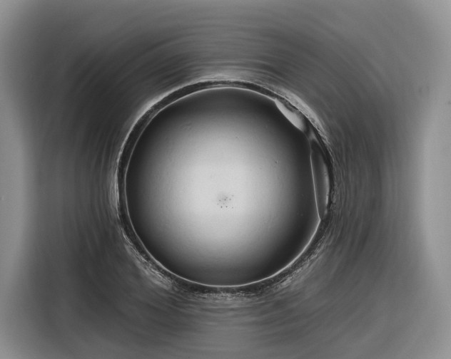 X0000116280980200912071147