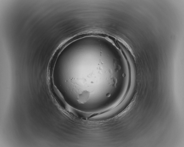 X0000116280981200912071147