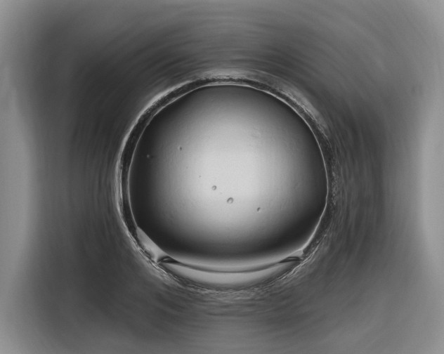 X0000116280984200912071147
