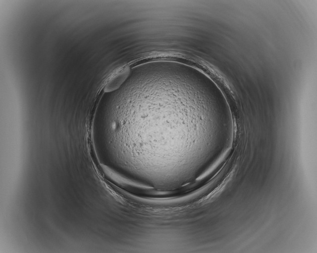 X0000116280985200912071147