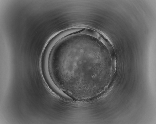 X0000116280987200912071146
