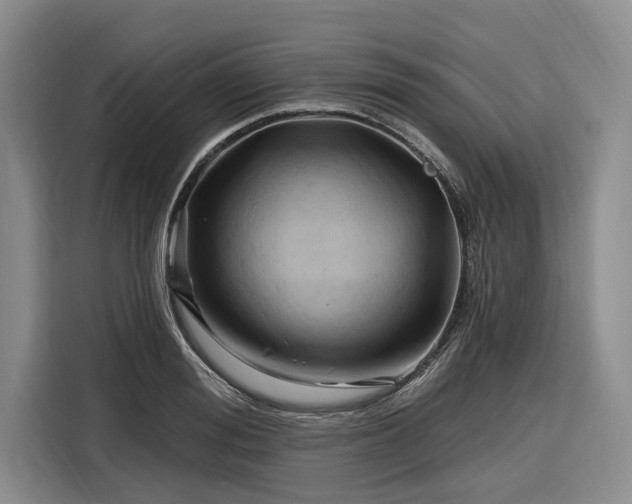X0000116280988200912071146