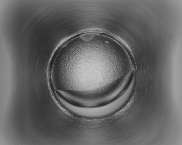 X0000116280989200912071146