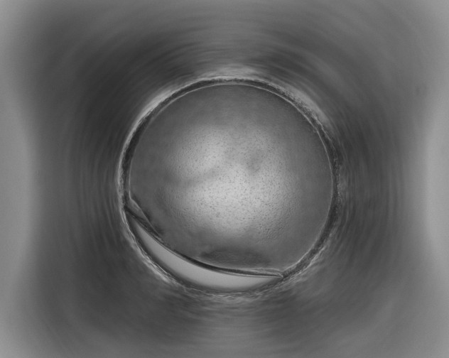 X0000116280990200912071146