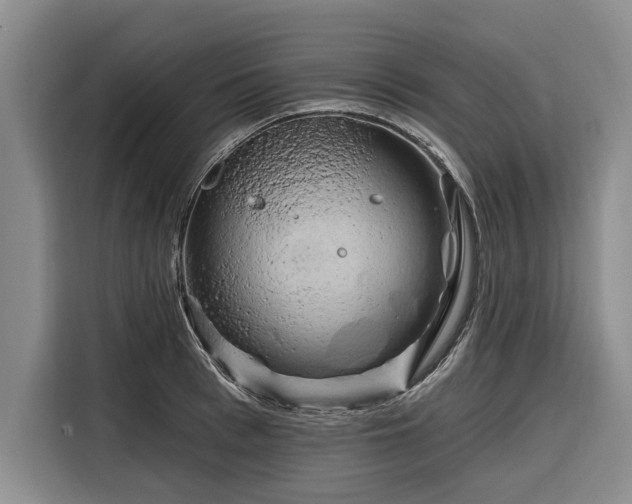 X0000116280993200912071146
