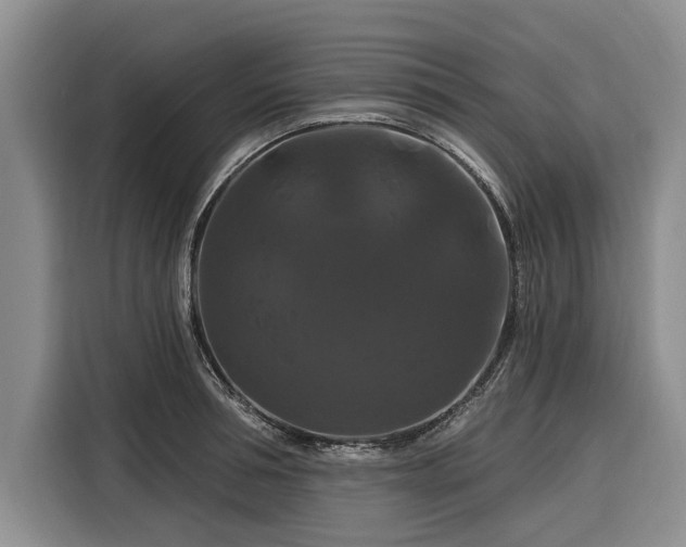 X0000116280994200912071146