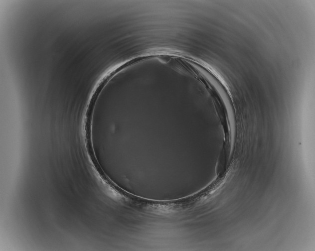 X0000116280995200912071146